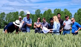 Which biofungicides are in our wheat septoria trials?
